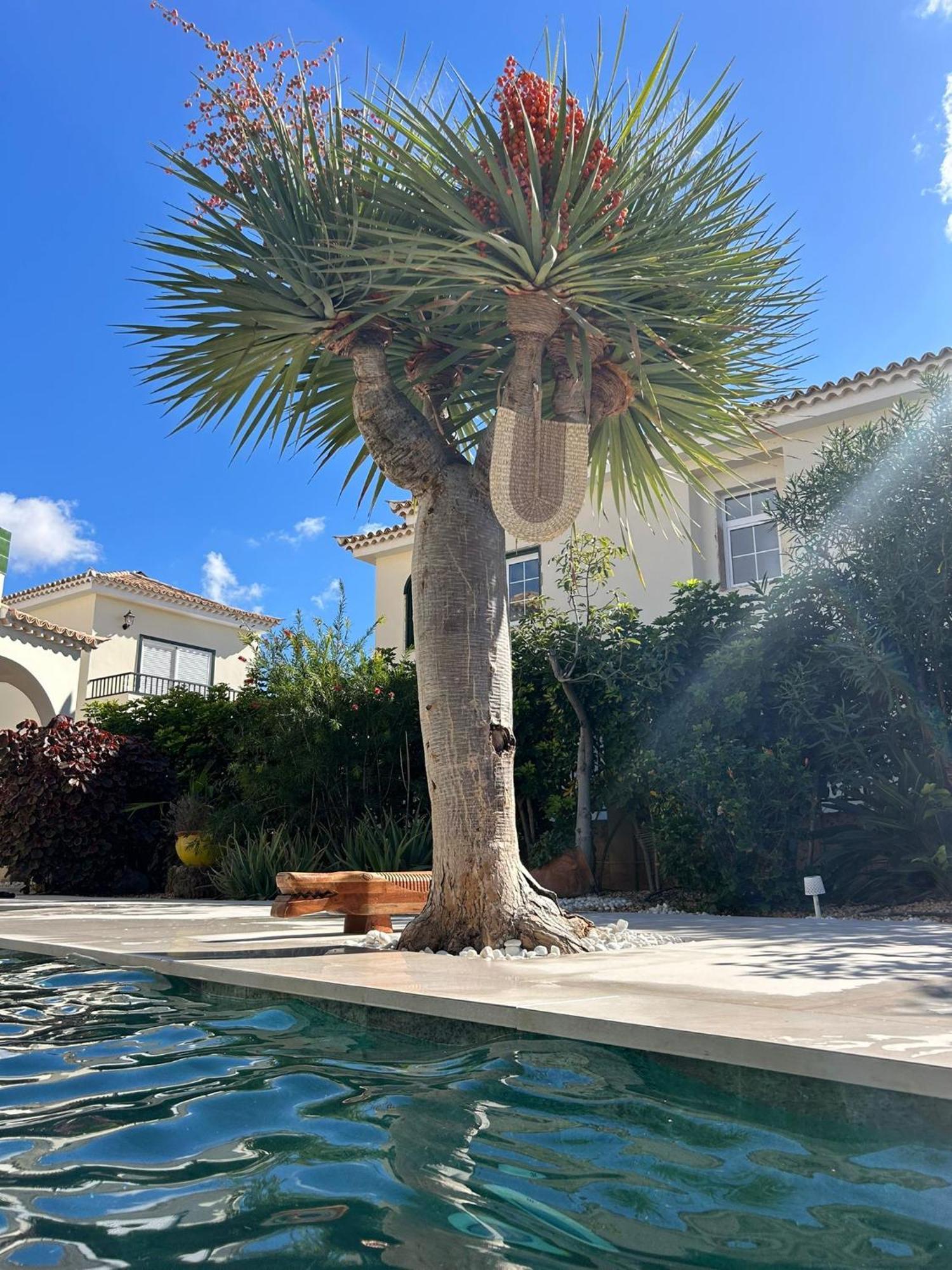Villa Ibiza - Beautiful House With Private Pool Chayofa Extérieur photo